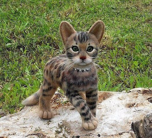  - 5  2015  13:20 - 3