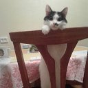 ���� ������� (�� �������), ���������� - ��������� 10 ������� 2015 � ������ ������ ��������