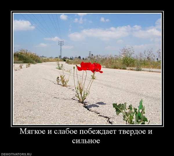 Женская суть в цифровом веке становится иной, видимо, в силу того, что мужчины заняты созданием ...