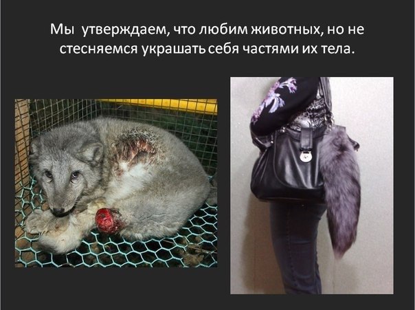 �������� � ������, ����� �������� �� ������ ����� ����� � �����, � ��� ������� - �������. ����� ��� ... - 8