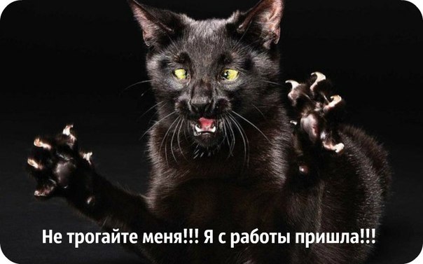 ��� ���� � ����� �� �� - 2 ������� 2015 � 07:30