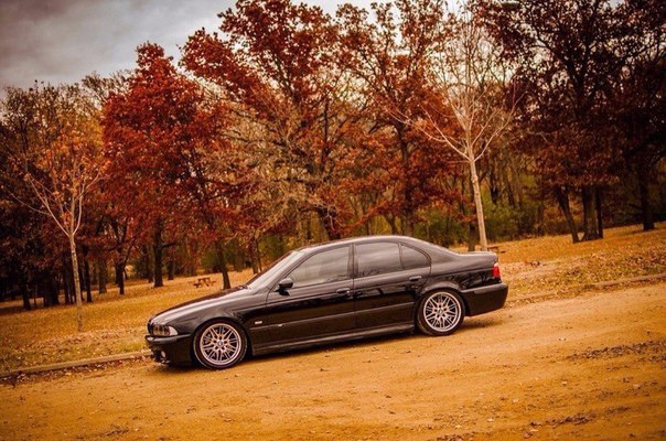  BMW      . BMW M5 (E39)    ! - 6