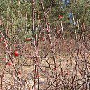 ���� ���������, �����������, 69 ��� - ��������� 1 ����� 2016 � ������ ���������!.�����. ������ 2016�