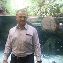 ���� �������, ������, 51 ��� - ��������� 20 ������ 2015 � ������ ����������� 11.11.15�