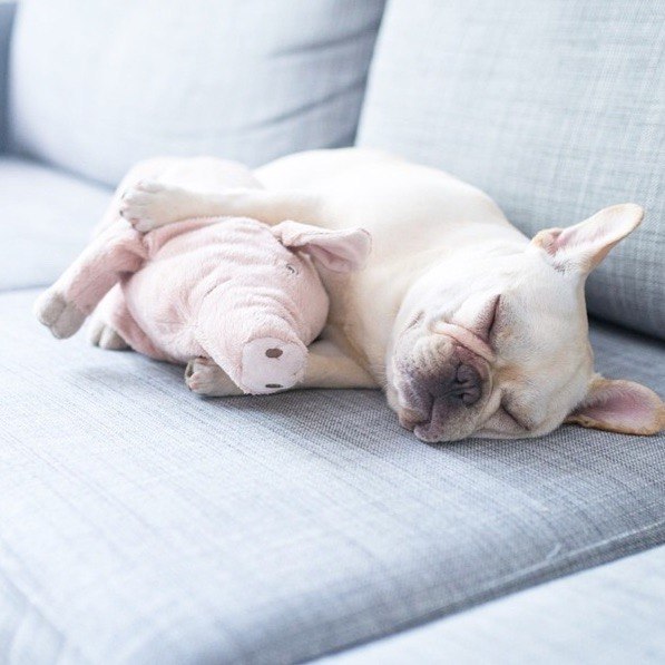   - 2  2015  08:10 - 4