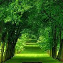 ���� Ilka, ����, 45 ��� - ��������� 29 ������� 2015 � ������ ���� ����������
