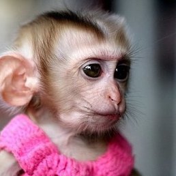 �����, ������, 47 ���