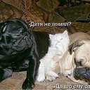 ���� ��������, ������, 71 ��� - ��������� 26 ������� 2016 � ������ ������ ��������