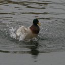 ���� �������, ����� - ��������� 28 ������� 2015 � ������ ���� ����������