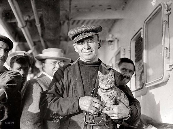 Архивные фотографии котов, которые сопровождали моряков в далекие и не очень ... - 4