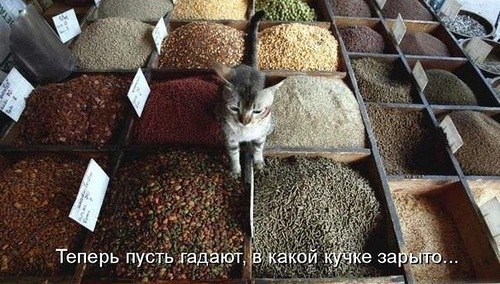    - 6