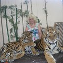 ���� �����, ����������� - ��������� 3 ����� 2016