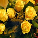 ���� �������, ���� - ��������� 7 ������� 2016 � ������ ������ ��������