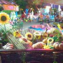 ���� �����, ������������, 59 ��� - ��������� 15 ������ 2015 � ������ �����