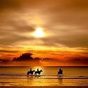 ���� Ya, ������ - ��������� 9 ������� 2015 � ������ ���� ����������