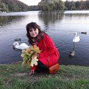 ���� ������, ���� - ��������� 10 ������� 2015 � ������ ���� ����������