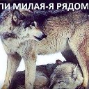 ���� ���, ���������� - ��������� 28 ������ 2016 � ������ ������ ��������