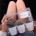 ���� �����, �����������, 28 ��� - ��������� 4 ������� 2015 � ������ ������ ��������