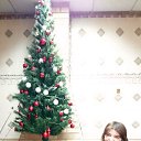 ���� �����, ����, 43 ���� - ��������� 17 ������ 2016 � ������ ���� ����������