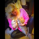 ���� �������, �����-���������, 60 ��� - ��������� 13 ������� 2015 � ������ ������ ��������