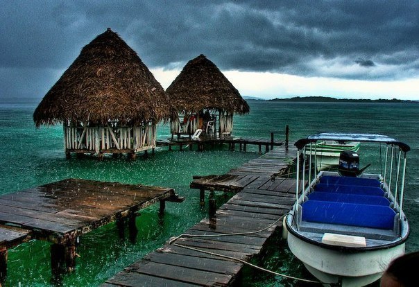 ��������� �����-����-����, ������ - 5