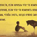 ���� �������, ���������� - ��������� 11 ������ 2015 � ������ ������ ��������