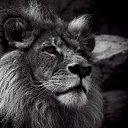 ���� ������, ��������, 65 ��� - ��������� 29 ������ 2015 � ������ ���� ����������