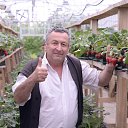 ���� Aleksandr, ��������� - ��������� 13 ������ 2016