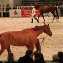 ���� ������, �����-���������, 70 ��� - ��������� 4 ������� 2015 � ������ ��� ������ �������� � �����-����������