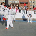 ���� �����, ���������, 47 ��� - ��������� 26 �������� 2015 � ������ �26 �������� 2015 ����.�