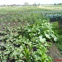 ���� �����, �������, 55 ��� - ��������� 12 ������ 2016 � ������ ���� ����������