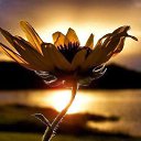 ���� Ya, ������ - ��������� 9 ������� 2015 � ������ ���� ����������