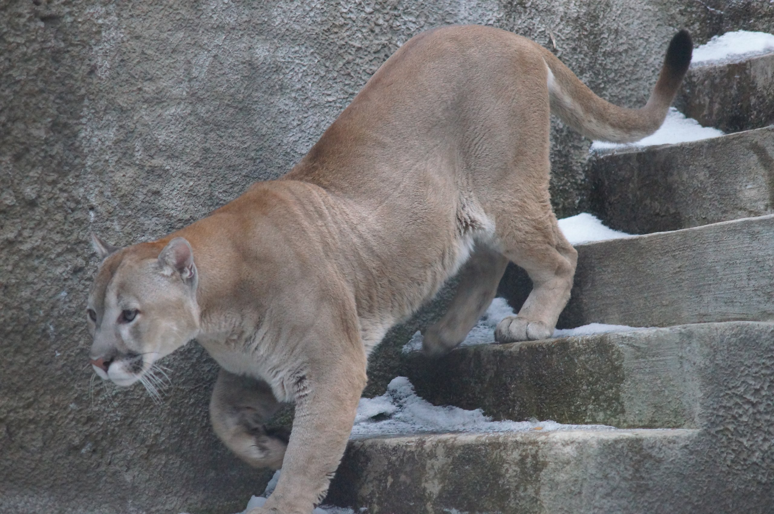 ��� ��� �������, � �� � ���� ��� ���� ���������...