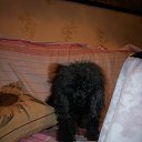 ���� 2007 �� ������� ���� �������