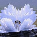 ���� �������, ����������, 74 ���� - ��������� 25 ������� 2016 � ������ ���� ����������