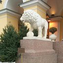 ���� �-��-��-�-�, ����� - ��������� 21 ������� 2015 � ������ ���� ����������