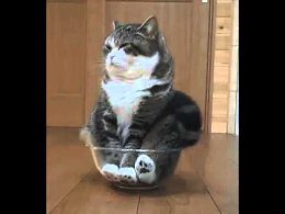 - ������� ���� ����������.- ����...- � ��?- ���� �����������...