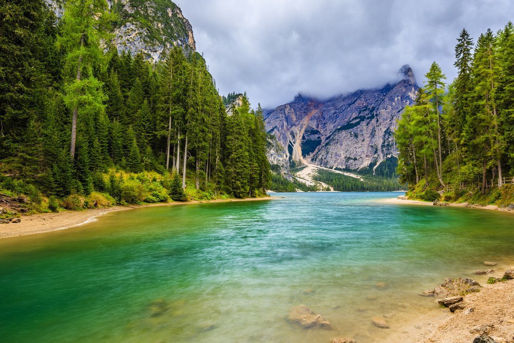 ����� ������ � ����������� ��������� �����-������ � ��������, ����� ���������� ����� � ������. ... - 8