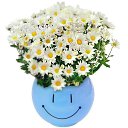 ���� Ani, ������ - ��������� 1 ������� 2015 � ������ ������...�