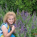 ���� ������, ��������� - ��������� 3 ������� 2015