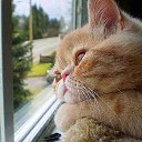 ���� �������, ��������� - ��������� 27 ������ 2016 � ������ ���� ����������