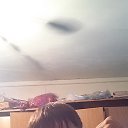 ���� ����, ����������, 43 ���� - ��������� 5 ������ 2016 � ������ ���� ����������