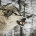 ���� �������, ����, 58 ��� - ��������� 18 ������ 2015 � ������ ���� ����������