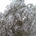 ���� ��������, ������������� - ��������� 29 ������ 2015 � ������ ���� ����������