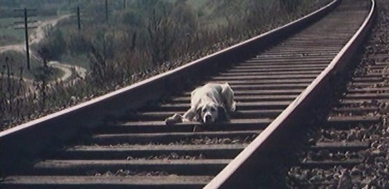 СТИХИ О РЫЖЕЙ ДВОРНЯГЕ.Хозяин погладил рукоюЛохматую рыжую спину:- Прощай, брат! Хоть жаль мне, не ...
