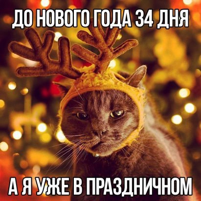 ***Victoria Viktorovna*** - 27  2015  14:33