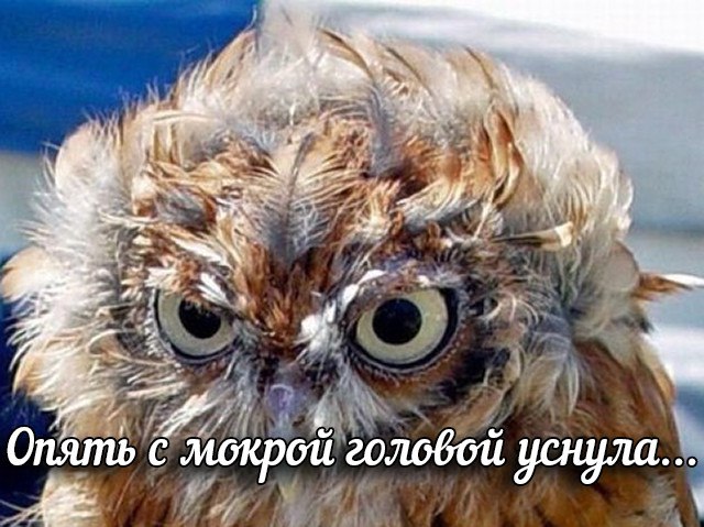� ���� �������� ! - 6 ����� 2016 � 23:02
