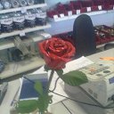���� Aleksey, �����-���������, 66 ��� - ��������� 19 ������� 2015 � ������ ������ ��������