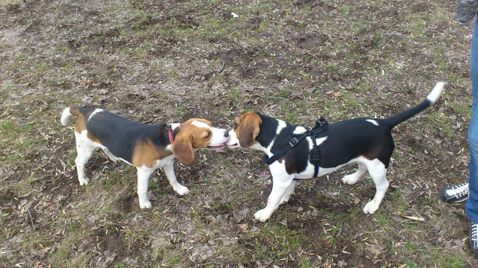  !   .  ,    ., . .  ...