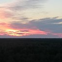 ���� �����, ����, 47 ��� - ��������� 26 �������� 2015 � ������ �Priroda�